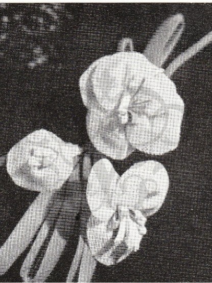 How to make 1940s flower corsages