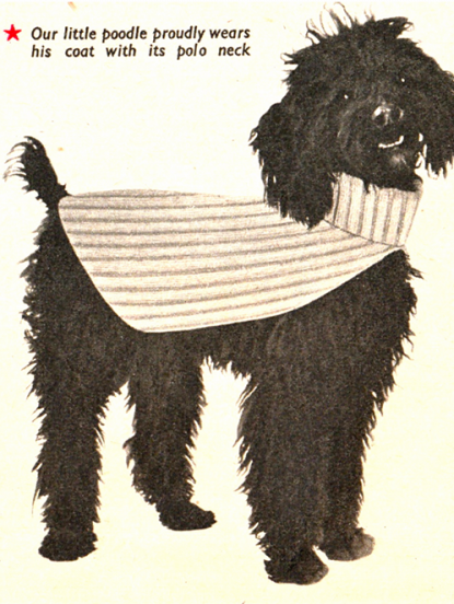 Vintage poodle dog coat pattern with matching human polo neck jumper